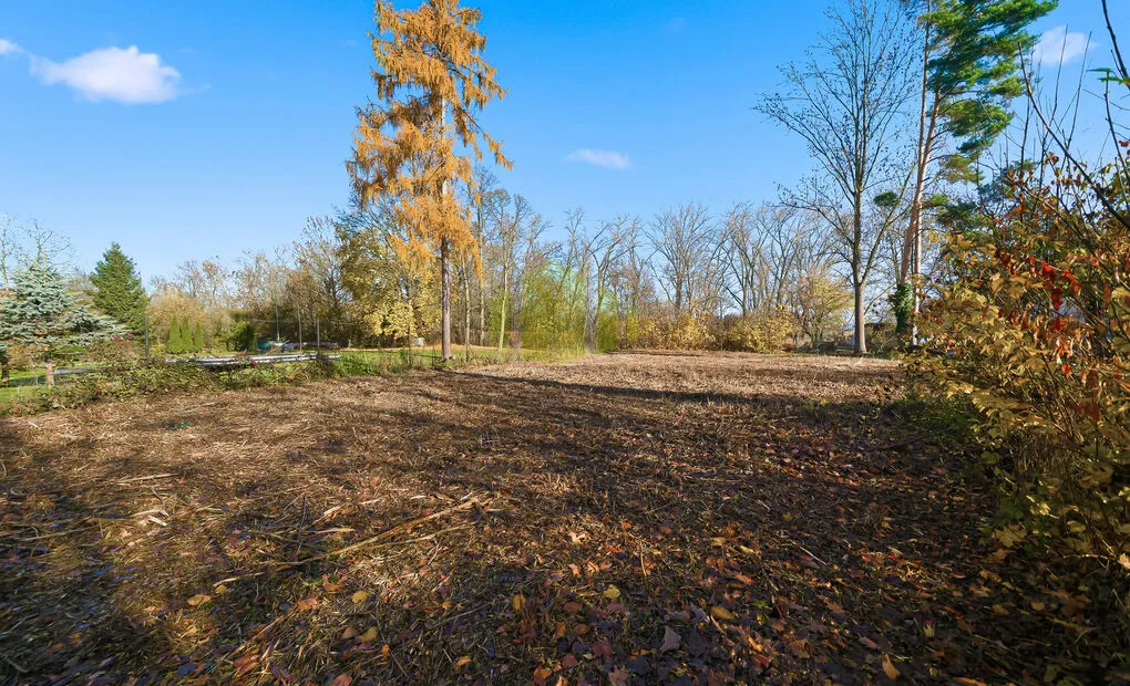 Prodej rekreačního pozemku 282 m2 u řeky Moravy - Olomouc - Černovírské zahrady